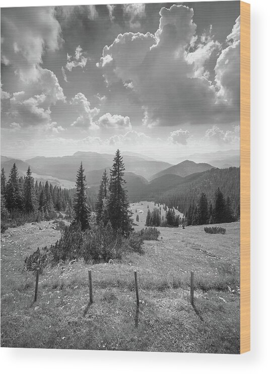 Mountains Wood Print featuring the photograph Puffy Clouds and Pastures by Alexander Kunz