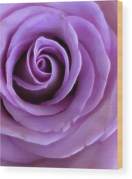 Enchantment Wood Print featuring the photograph Purple Rose by Steph Gabler