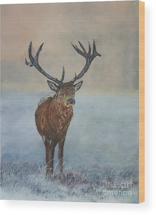 Stag Wood Print featuring the painting Red Deer Stag by Bob Williams