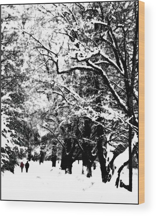 Snow Wood Print featuring the photograph Romancing the Snow by Wayne King