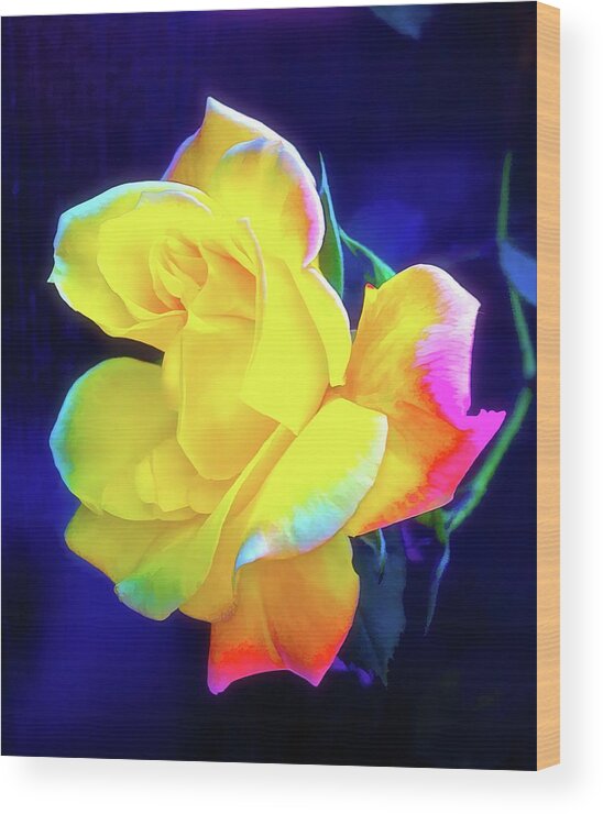 Flowers Wood Print featuring the photograph Rose 4 by Pamela Cooper