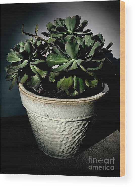 Ruffle Cactus Wood Print featuring the photograph Ruffle Cactus by Luther Fine Art