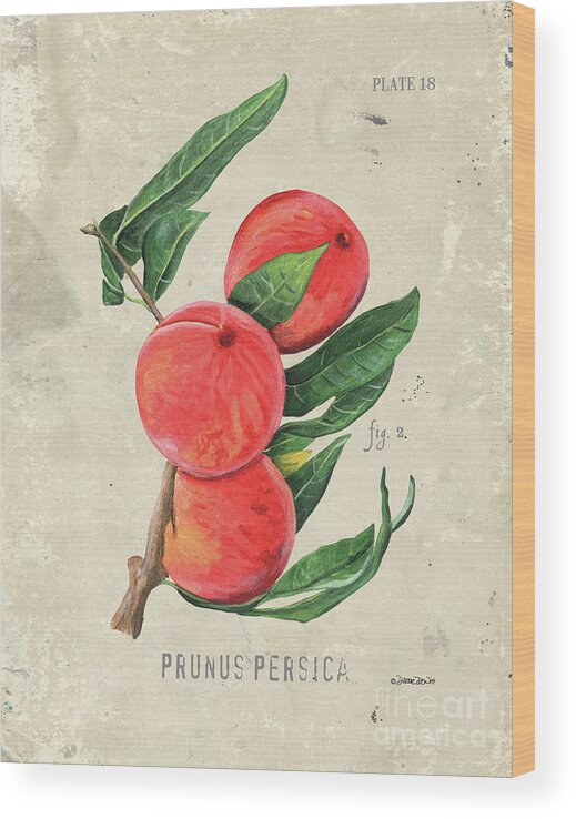 Peach Wood Print featuring the painting Scientific Fruit 2 by Debbie DeWitt