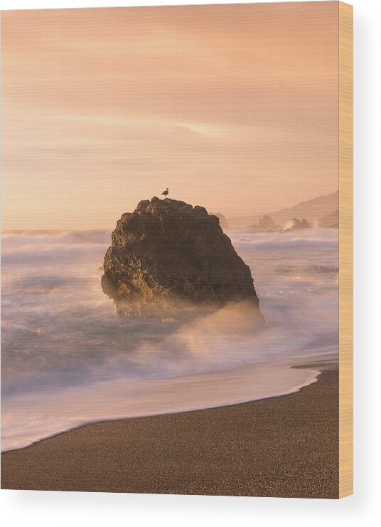 Ocean Wood Print featuring the photograph Soft Waves at Sunset by Shelby Erickson