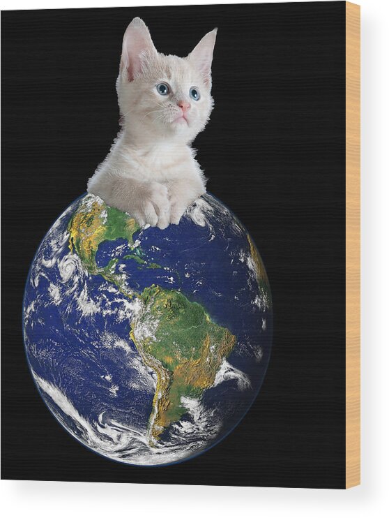 Climate Change Wood Print featuring the digital art Space Kitten Ruler of Earth Funny by Flippin Sweet Gear