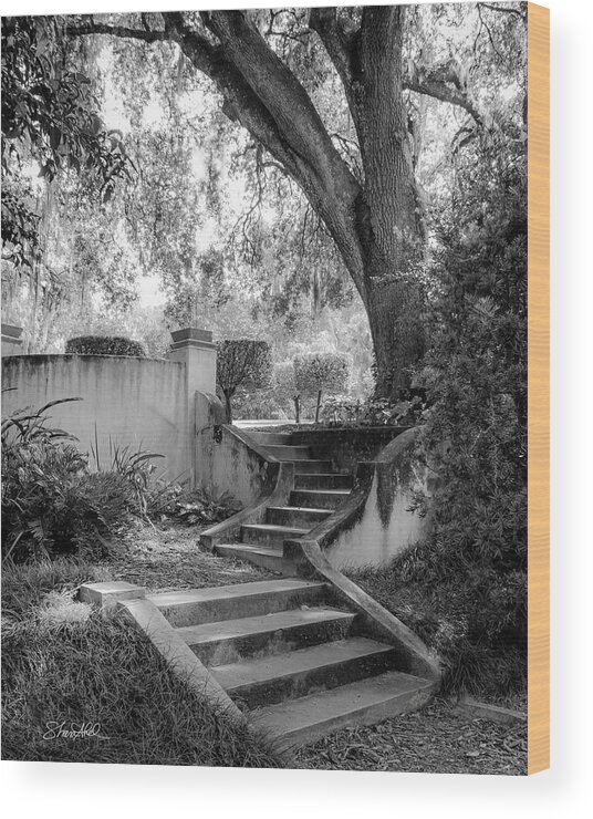 Black And White Wood Print featuring the photograph Stairway to Heaven by Shara Abel