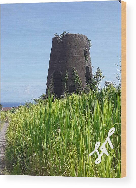 Sugar Mill Wood Print featuring the photograph Sugar Mill of the Gods by Esoteric Gardens KN