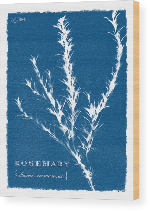 Blue Wood Print featuring the painting Sunprinted Herbs in Indigo - Rosemary - Art by Jen Montgomery by Jen Montgomery