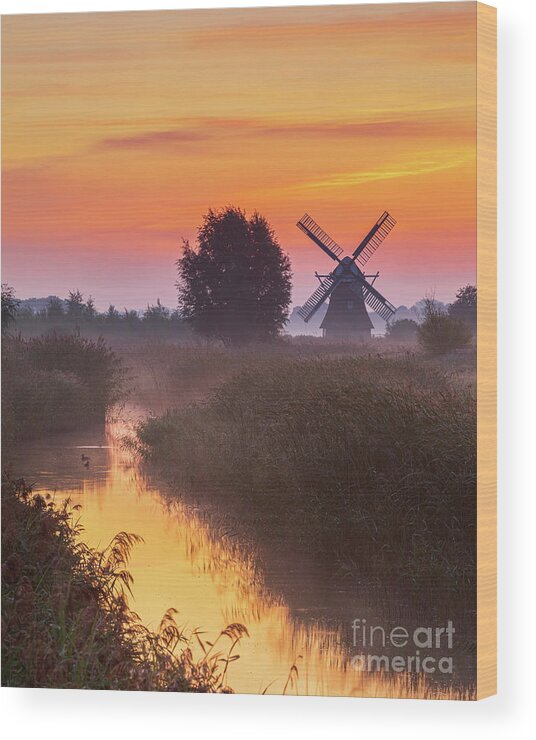 Noorddijk Wood Print featuring the photograph Sunrise Noordermolen, Groningen, Netherlands by Henk Meijer Photography