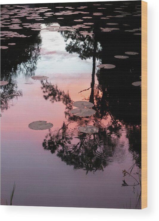 Reflection Wood Print featuring the photograph Sunset on a Florida pond by Karen Rispin