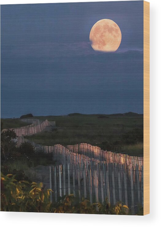 Super Wood Print featuring the photograph Super Moon Rising Over Plum Island by Betty Denise