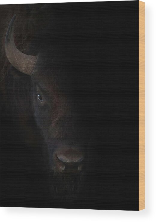 The Wood Print featuring the photograph The Bullseye by Brian Gustafson