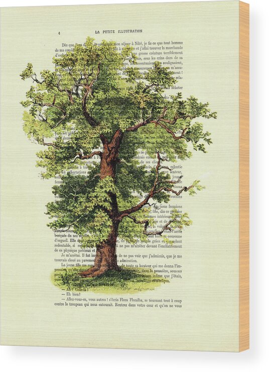 Oak Wood Print featuring the mixed media The Oak Tree by Madame Memento