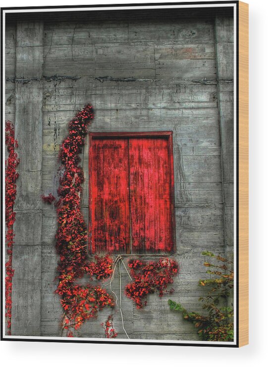 Red Wood Print featuring the photograph The Red Loft by Wayne King