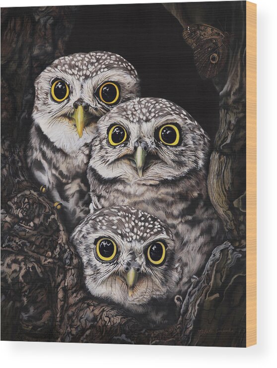 Nikita Coulombe Wood Print featuring the painting Three Little Owls by Nikita Coulombe