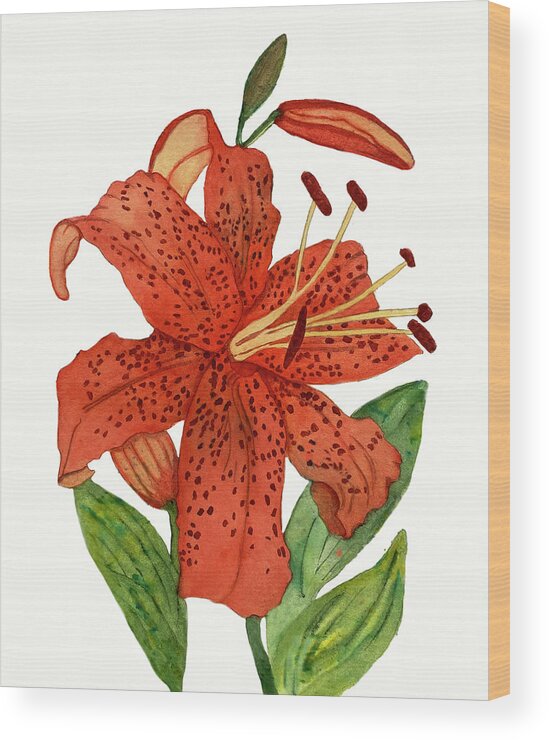 Tiger Lily Wood Print featuring the painting Tiger Lily by Deborah League