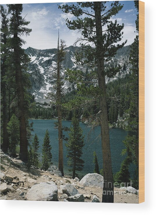 Barnett Lake Wood Print featuring the photograph TJ Lake by Abigail Diane Photography