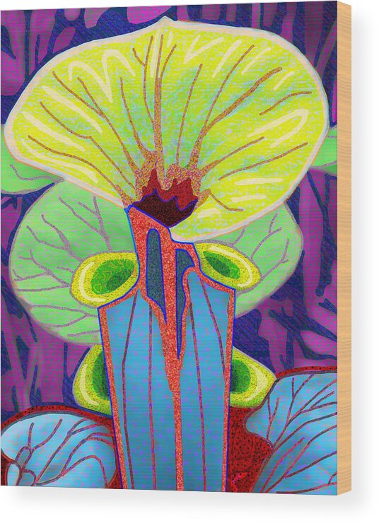 Pictcher Plant Wood Print featuring the digital art Translucent Carnivore by Rod Whyte