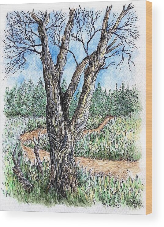 Trees Wood Print featuring the mixed media Tree and Trail by Yvonne Blasy