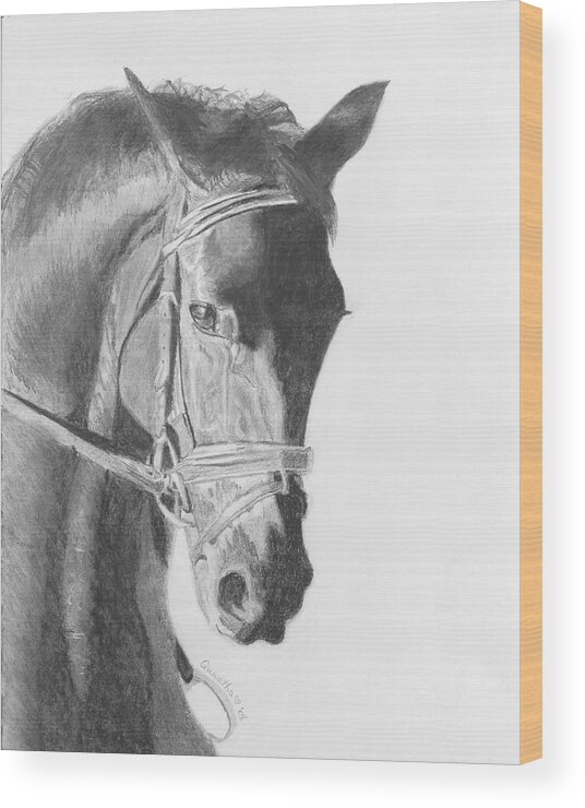 Horse Wood Print featuring the drawing Tyberius by Quwatha Valentine