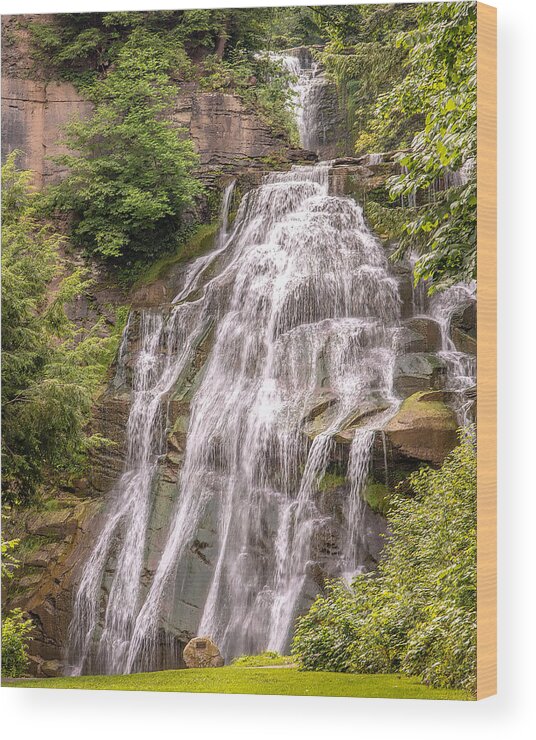 Falls Wood Print featuring the photograph Upper and Lower Delphi Falls by Rod Best