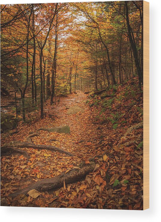 Ricketts Glen Wood Print featuring the photograph Waterfalls Trail Ricketts Glenn by Kristia Adams