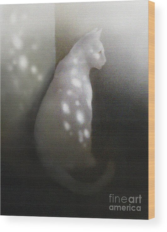Pet Wood Print featuring the digital art White Cat by Robert Foster