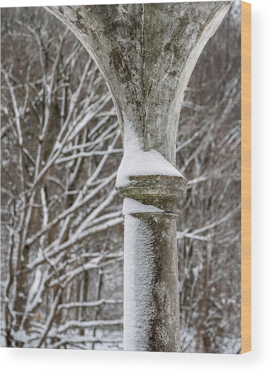 Tibbetts Brook Park Wood Print featuring the photograph Winter in Tibbetts Brook Park 3 by Kevin Suttlehan