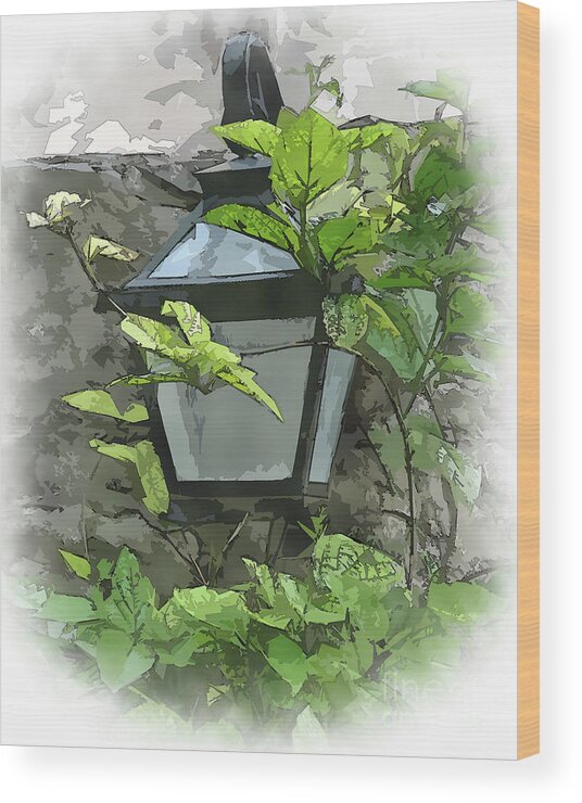 Garden-lamp Wood Print featuring the digital art Yard Lamp And Vine by Kirt Tisdale