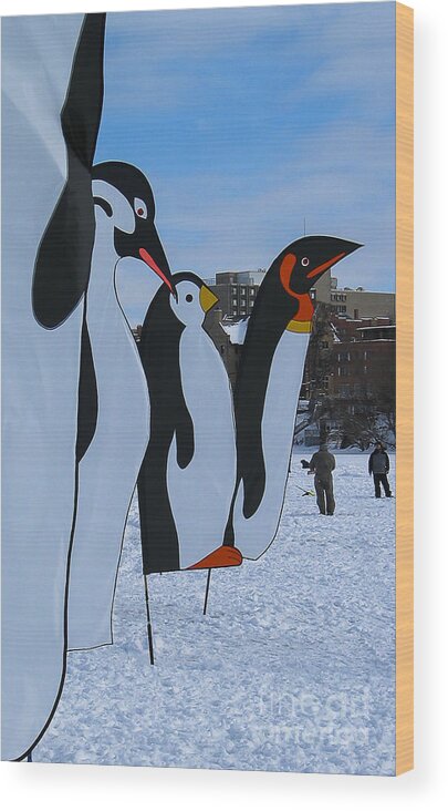 Snow Wood Print featuring the photograph Penguins #1 by Steven Ralser