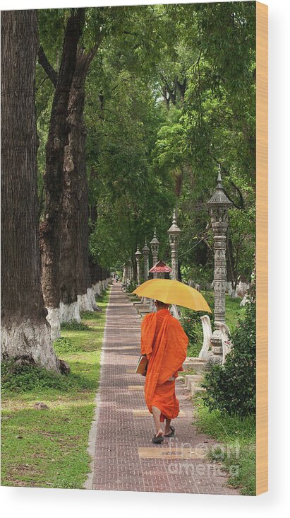 Cambodia Wood Print featuring the photograph Buddhist Monk 01 by Rick Piper Photography