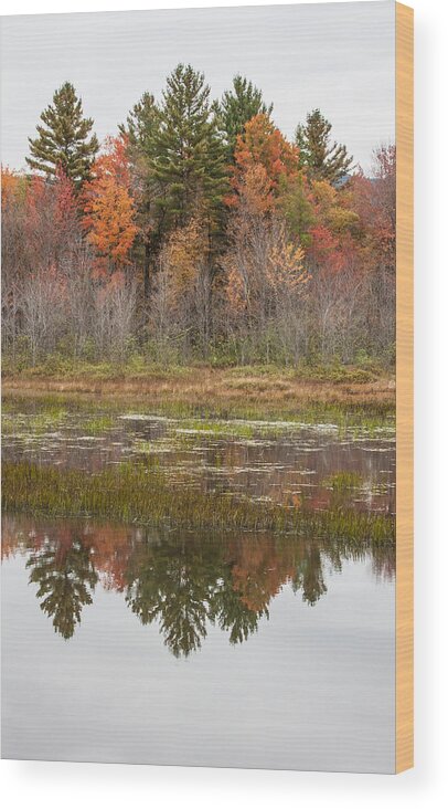 Karen Stephenson Photography Wood Print featuring the photograph Fall Trees Reflected in Lake Chocorua by Karen Stephenson