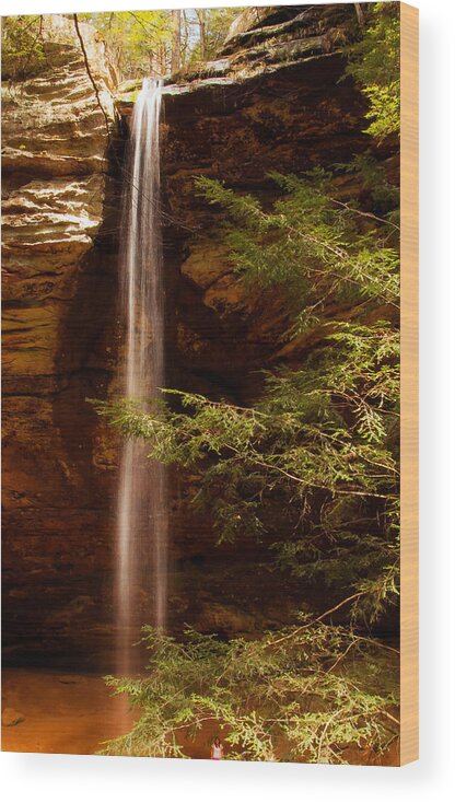 Waterfalls Wood Print featuring the photograph Hemlocks and Waterfall by Haren Images- Kriss Haren