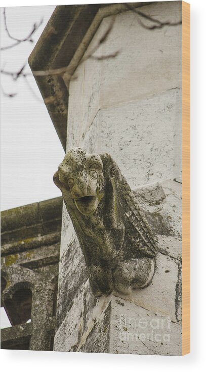  Wood Print featuring the photograph Jeronimos Monastery Gargoyle 7 by Deborah Smolinske