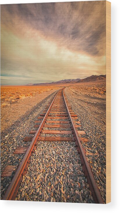 Old Railroad Tracks Wood Print featuring the photograph Off to Nowhere by Janis Knight