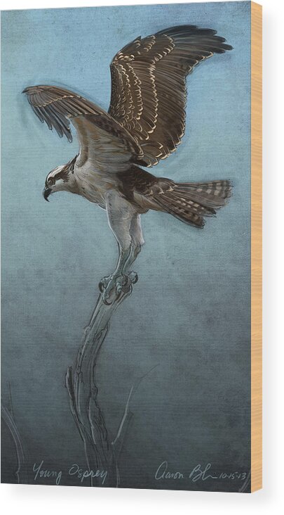 Osprey Wood Print featuring the digital art Osprey by Aaron Blaise