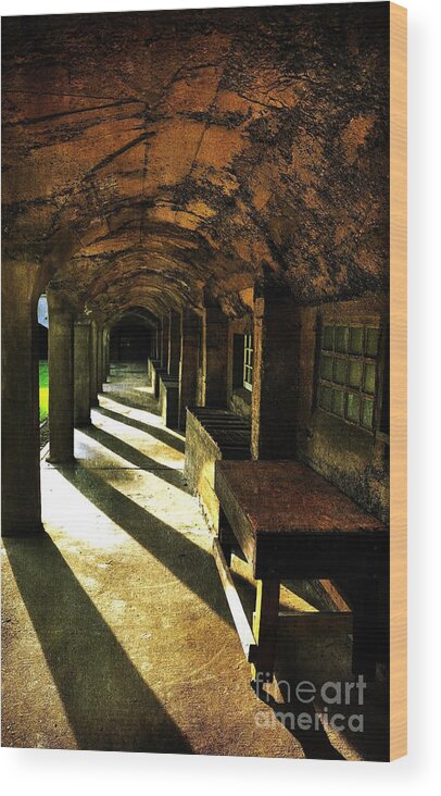 Moravian Pottery And Tile Works Wood Print featuring the photograph Shadows and Arches I by Debra Fedchin