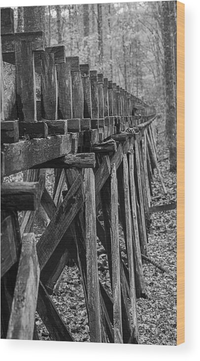 Landscapes Wood Print featuring the photograph The Chute by Amber Kresge
