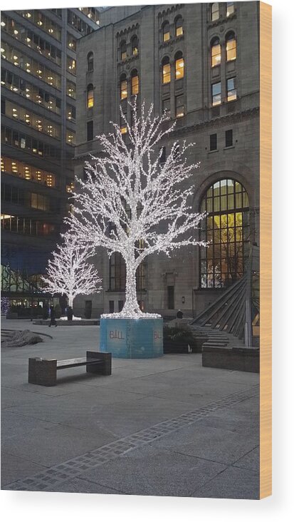 Landscape Wood Print featuring the photograph Tree of Lights I by Nicky Jameson