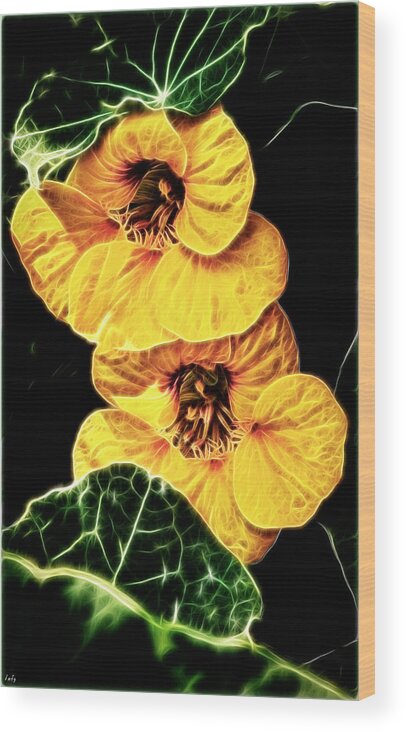 Nasturtium Wood Print featuring the photograph Two Shy Sisters fractal by Weston Westmoreland