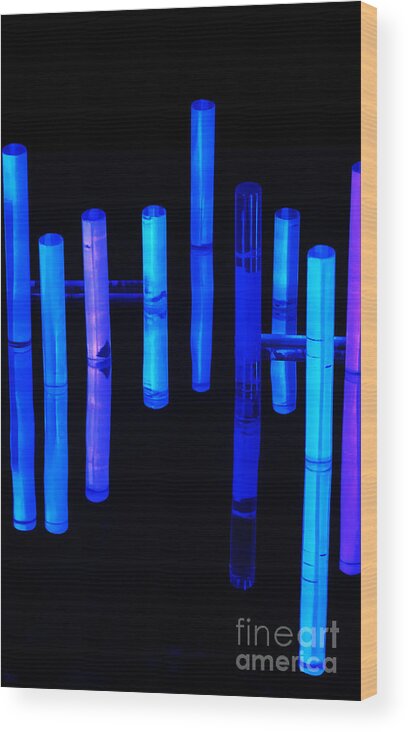 Blue Wood Print featuring the photograph Black Light by Jeff Breiman