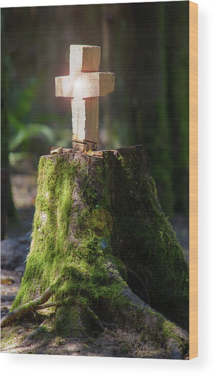 Altar Wood Print featuring the photograph A Forest Altar by Tikvah's Hope