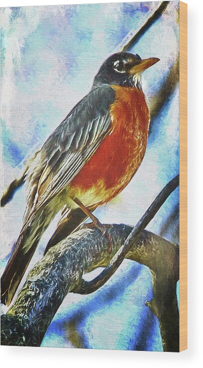 Bird Wood Print featuring the photograph American Robin by Reynaldo Williams