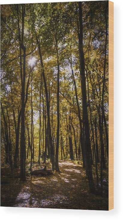 Autumn Wood Print featuring the photograph Autumns Fire by Scott Norris
