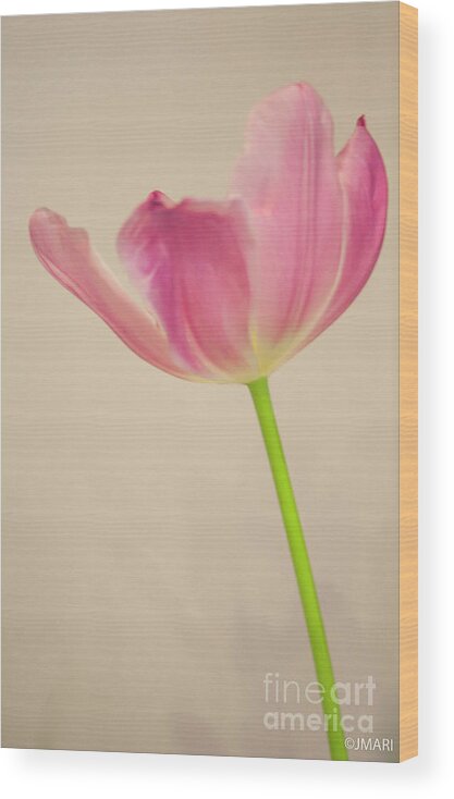 #tulip # Beauty #botanical #floral #photography # Fineart Wood Print featuring the photograph High Hopes by Jacquelinemari