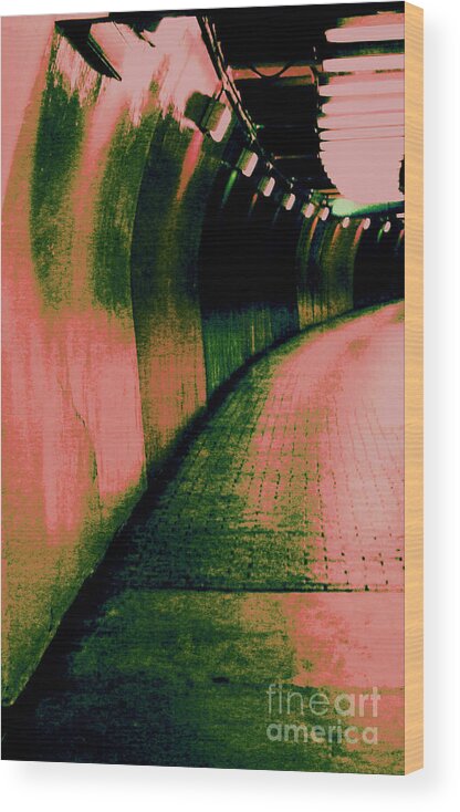 Tunnel Wood Print featuring the photograph No Life Seen by Julie Lueders 
