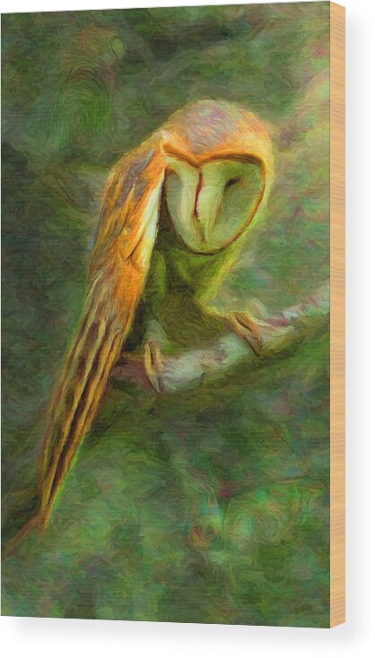 Owl Wood Print featuring the digital art Owl 1 by Caito Junqueira