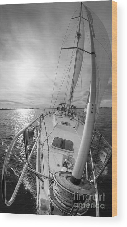 Coquette Sailing Poster by Dustin K Ryan - Fine Art America