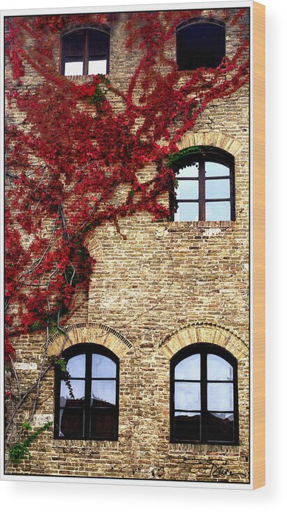 Building Wood Print featuring the photograph San Gimignano by Peggy Dietz