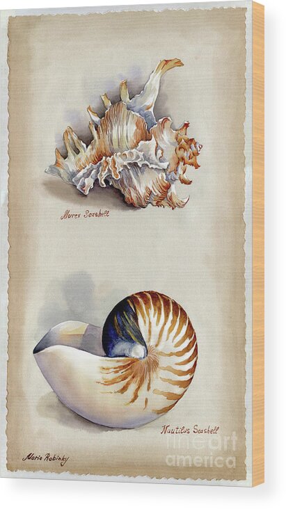Seashells Wood Print featuring the photograph Seashells Murex and Nautilus by Maria Rabinky